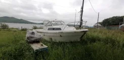 Yamaha Fish 22. ����� 7��., ������. ��� ����� �� ����������� ������ ����
