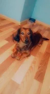 �����. ����