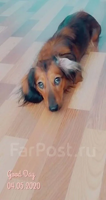 �����. ����