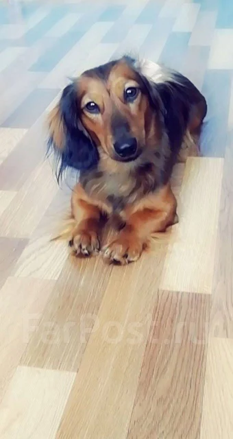 �����. ����