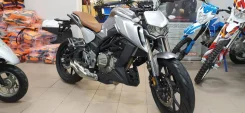 Regulmoto Alien Monster 300. 300����. ��., ��������, ���, ��� �������. ��� ����� �� ������ ����
