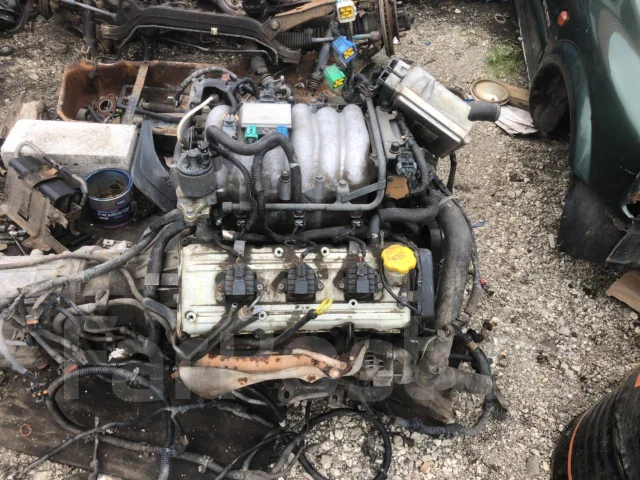 Isuzu Wizard. UES25FW, 6VD1 ����