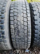 TyRex. �����������, 2019 ���, �/�, ����� 30�% ����