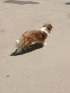 ������. ����
