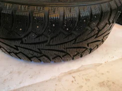 Momo Winter. x17" ����