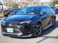 Lexus UX250h. ��������, ��������, 2.0 (146��.�.), ������, 9 000����. ��, �/�. ��� ����� �� ������������ ����