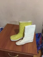 ������ ���������. 35 ����