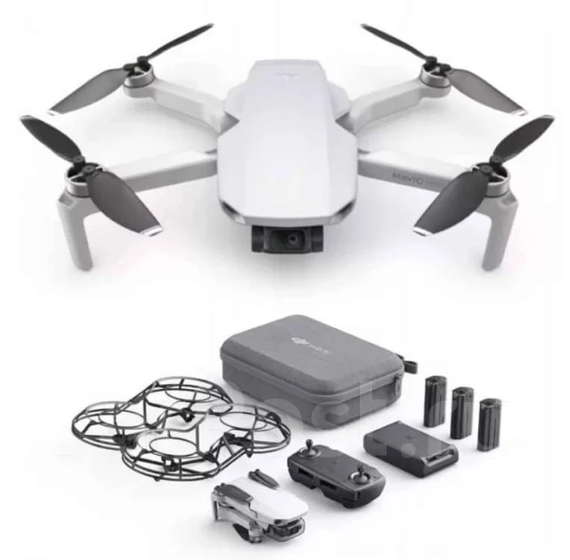 DJI Mavic Mini. � ������� ����