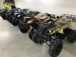 Motoland Maverick 150. ��������, ���� ���\���, ��� ������� ����