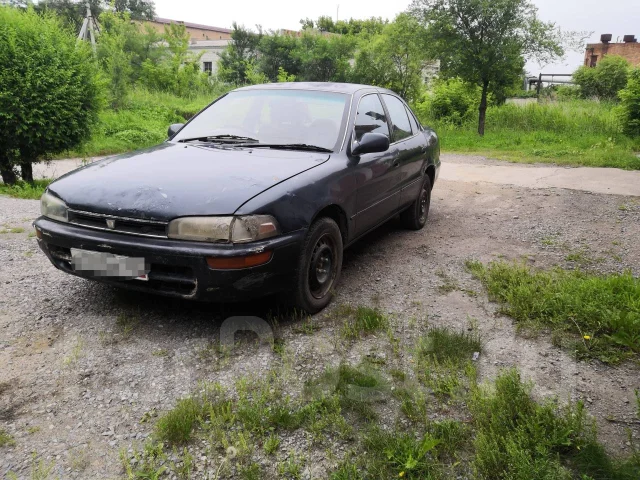Toyota Sprinter. �������, ��������, 1.5 (115��.�.), ������, 260 000����. �� ����