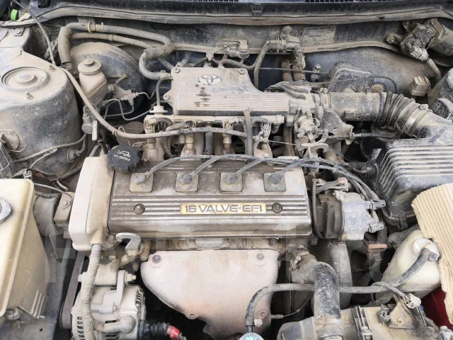 Toyota Sprinter. �������, ��������, 1.5 (115��.�.), ������, 260 000����. �� ����
