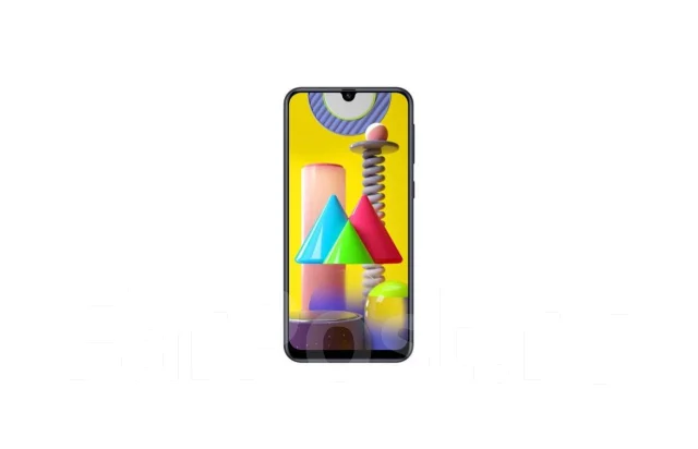 Samsung Galaxy M31. �����, �������, �����, ������, 4G LTE, Dual-SIM, NFC ����