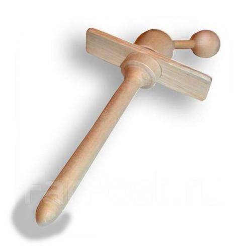 Цинерария приморская андромеда. Цинерария приморская cineraria maritima. Калатея виттата. Цинерария серебристая папоротник. Колоте.