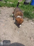 ���������������� �����. ����