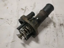 ��������� � �������� 31293611 ����