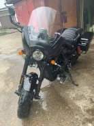 Harley-Davidson Street Rod. 750����. ��., ��������, ���, � ��������. ��� ����� �� ����������� ����