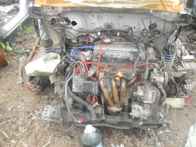 Honda Accord. CF2, H22A ����