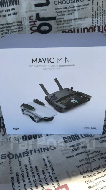 DJI Mavic Mini. � ������� ����