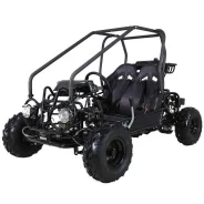 Motoland Gokart 125. ��������, ��� ���\���, ��� �������. ��� ����� �� ���� ����