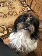 ��-���. ����