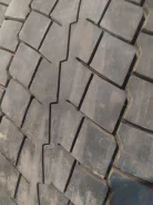 TyRex. �����������, 2019 ���, �/�, ����� 30�% ����