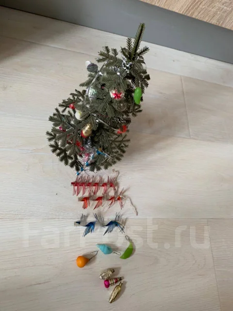Новогодние Елки Ссср Фото