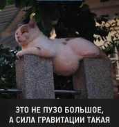 ��������, ��������� ��������. ����