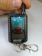 Bruin. ����