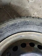 Accelera 651. ������, ��� �����, �/�, ����� 5 % ����