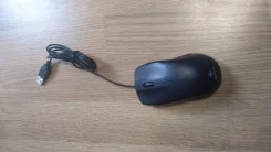 ���� ������������. ����