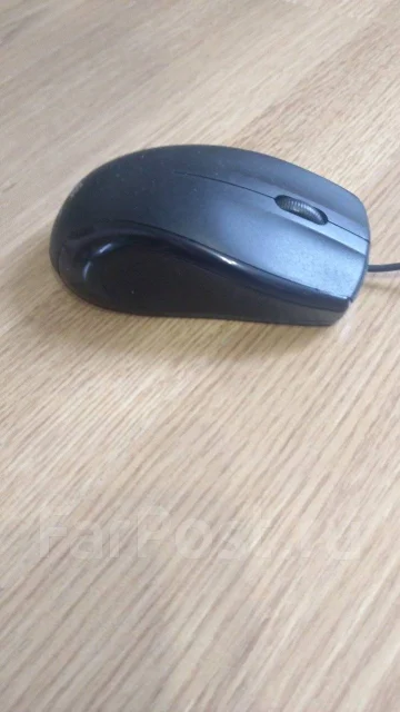 ���� ������������. ����