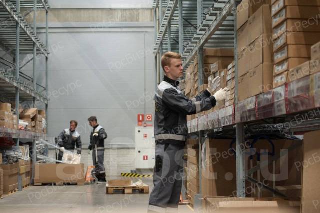 Грузчик, работа в ООО \"Ильвина\" во Владивостоке — вакансии на ФарПосте