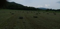 ����. ����