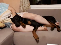 ��������. ����
