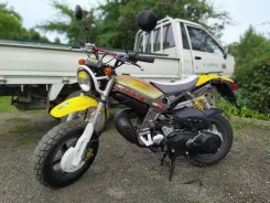 Suzuki Street Magic II. 49����. ��., ��������, ���������, ��� ������� ����