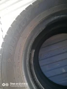 Dunlop Enasave VAN01. ������, 2019 ���, �/�, ����� 5�% ����