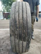 TyRex. �����������, 2019 ���, �/�, ����� 40�% ����