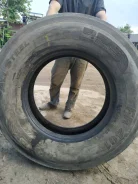 TyRex. �����������, 2019 ���, �/�, ����� 40�% ����