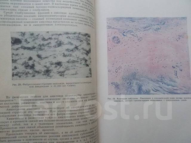 Кузнецов е п патологическая анатомия в ультразвуковом изображении