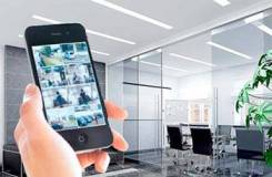 ��������������� ��� ����, �����, �������� ������. ����� ������ �� 31 ������� ����