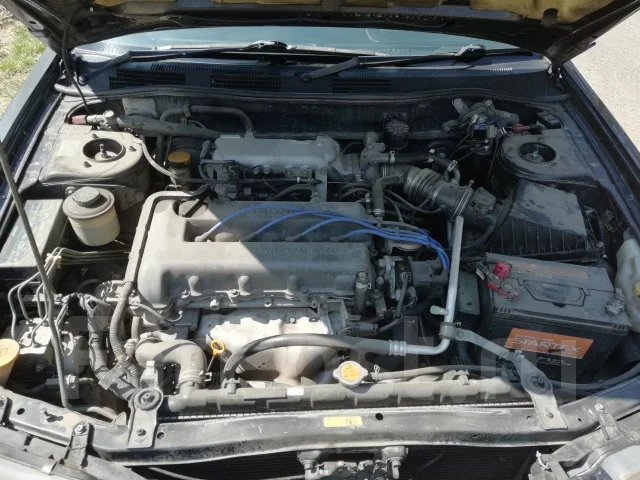 Nissan Bluebird. �������, ��������, 1.8, ������, 239����. �� ����