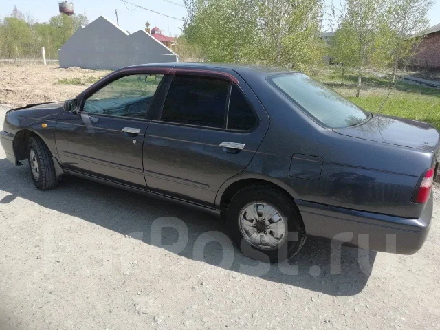 Nissan Bluebird. �������, ��������, 1.8, ������, 239����. �� ����
