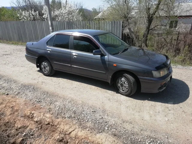 Nissan Bluebird. �������, ��������, 1.8, ������, 239����. �� ����