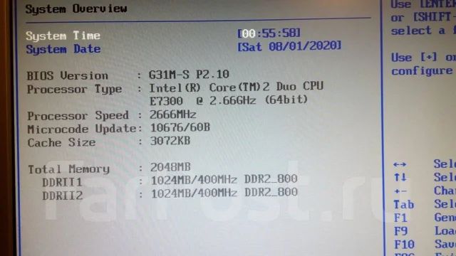G31 ����