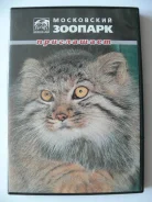 DVD ���������� ������� ����