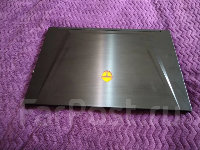Thunderobot. 17.3", 4,7����, ��� 16 ��, ���� 750���, WiFi: 1, Bluetooth: 1, ����������� �� 6��. ����