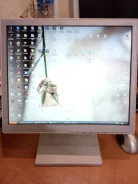 NEC. 17" ����