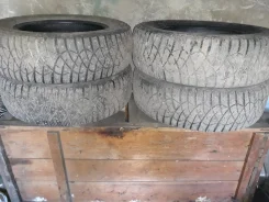 Avatyre Freeze. ������, ����������, 2020 ���, �/�, ����� �� 5�% ����