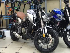 Regulmoto Alien Monster 300. 300����. ��., ��������, ���, ��� ������� ����