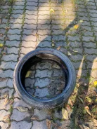 WinRun. ������, 2016 ���, �/�, ����� 20�% ����